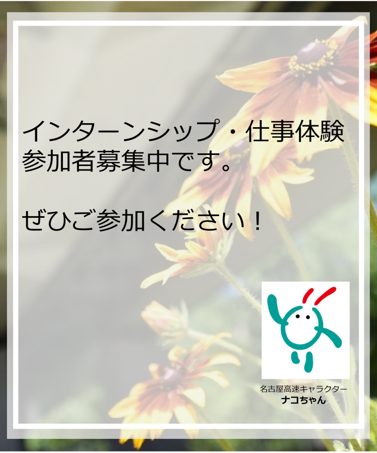 令和7年度インターンシップ等について